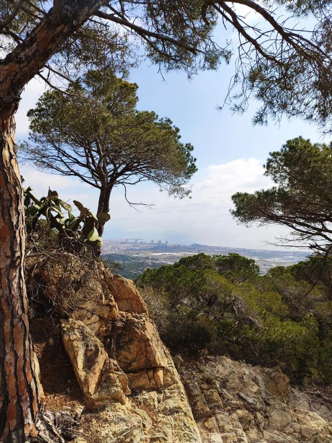 Cozy Place, Big Roof Terrace & Spectacular Views. Cambrils Exterior foto